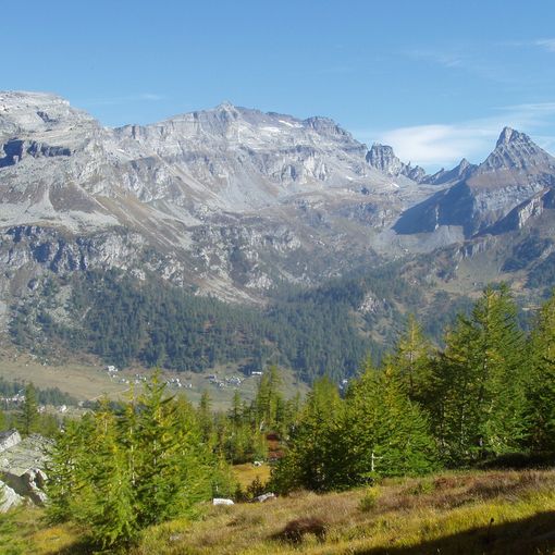 Coldiretti Piemonte: &quot;La legge europea sul ripristino della natura è sbagliata&quot;