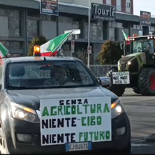 Protesta agricoltori a Novara: trattori e bandiere contro le politiche dell'unione europea  VIDEO