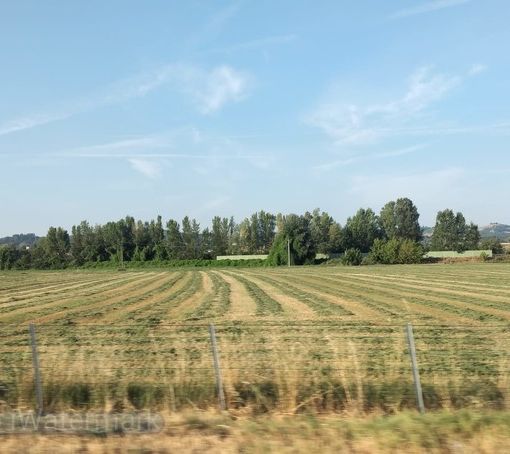 Regimi di qualità: la regione Piemonte apre un bando da oltre un milione di euro