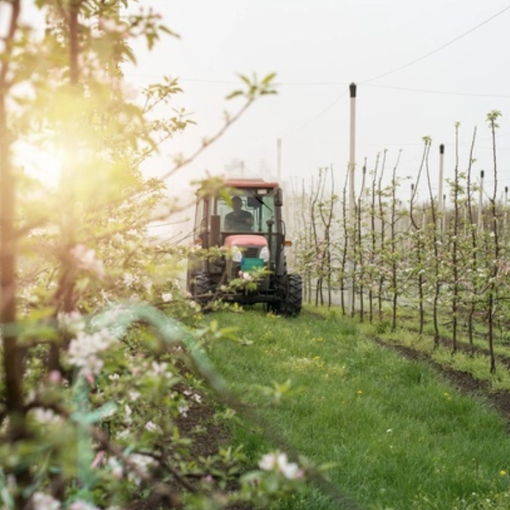Agricoltura, aumenta la dotazione di gasolio a prezzo agevolato