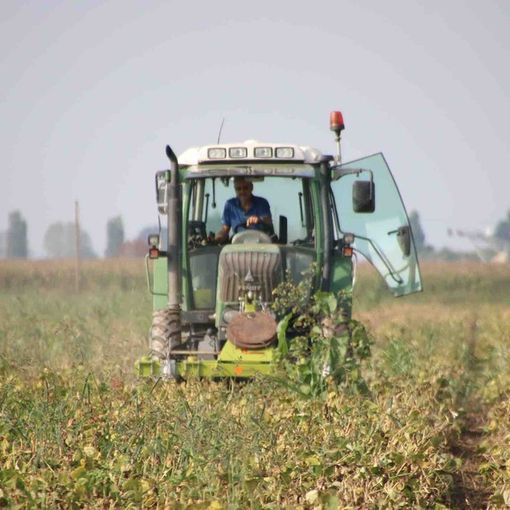 Coldiretti Piemonte: &quot;Altri 3 miliardi per l'agricoltura dal Pnrr&quot;