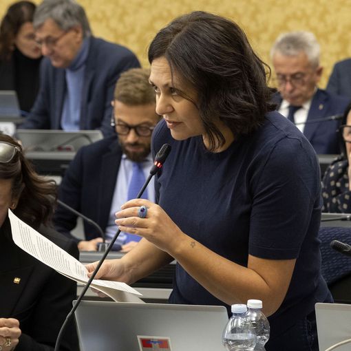 Sicurezza nelle stazioni ferroviarie piemontesi, Binzoni (FdI) presenta un Odg
