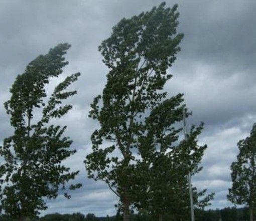 In Piemonte nasce l’Osservatorio Regionale sui cambiamenti climatici