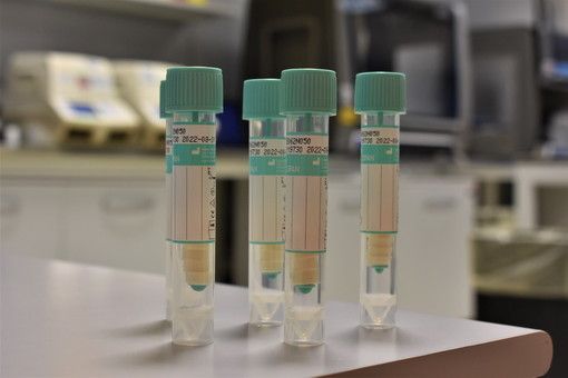 Aumento contagi Covid, Cirio: &quot;In Piemonte scuole dotate di mezzi di prevenzione. Vaccino per anziani e fragili&quot;