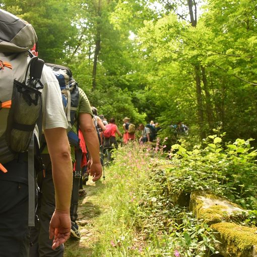 Camminata alla scoperta di Gignese: tra ombrellai e musei locali