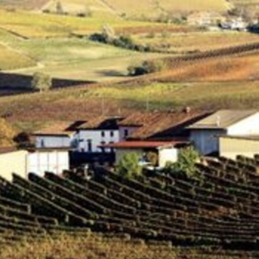 Biologi per il Rinnovamento, un pomeriggio sulle colline del Monferrato