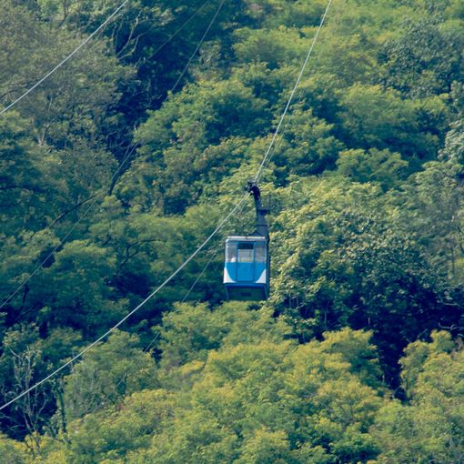 Caduta una cabina della funivia del Mottarone