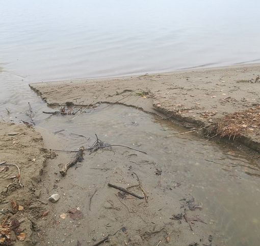 Gravi sversamenti a lago ad Arona