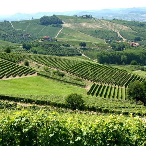 In Piemonte la sesta conferenza mondiale del turismo enologico