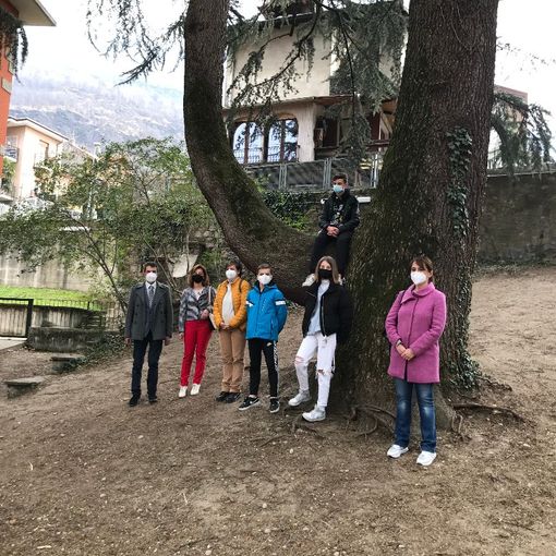 Scrittori in erba, il tema scelto per la quarta edizione è il “Verde Vivente”