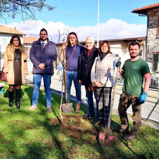Lions dona alberi da frutta alla scuola materna di Oltrefiume