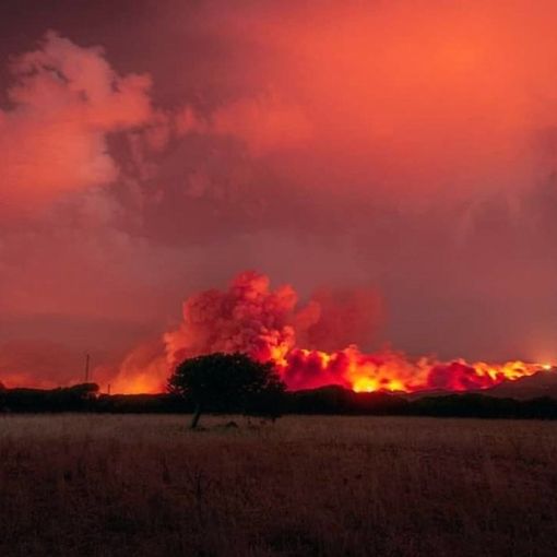 Incendi, dal Piemonte automezzi e un contingente Aib in aiuto di Sicilia e Sardegna