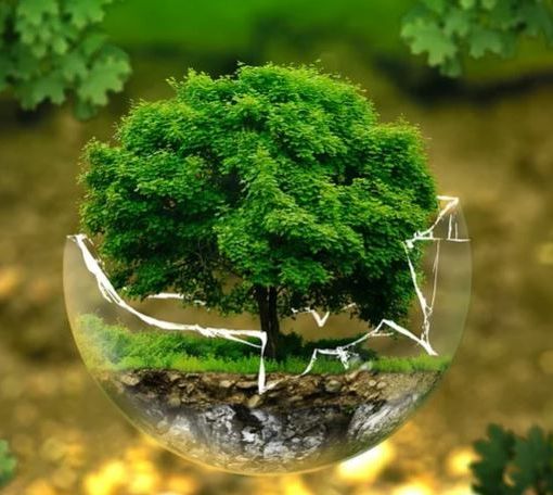 Oggi è l'Earth overshoot day: risorse esaurite, iniziamo a consumare quelle del 2024