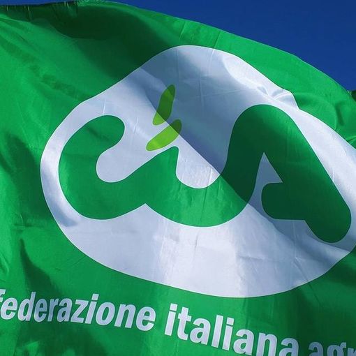 Incontri di fine anno per i soci di Cia Novara Vercelli VCO