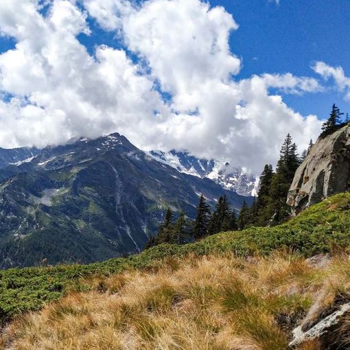 Escursione all'Alpe Cicerwald e all'Alpe Tore
