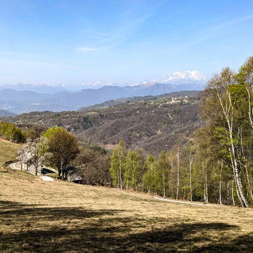L'anello del Cornaggia tra gli alpeggi del Vergante