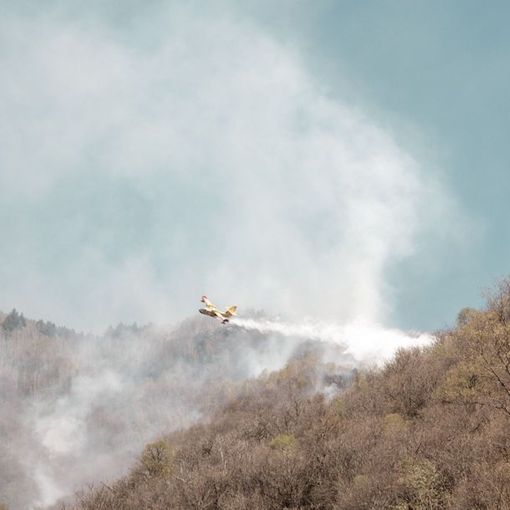 Post-incendi, dossier Uncem: 10 punti per ripartire dal bosco