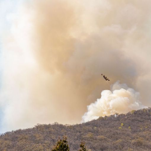 Uncem: “Prevenzione incendi si fa con gestione attiva delle foreste secondo strategia nazionale”