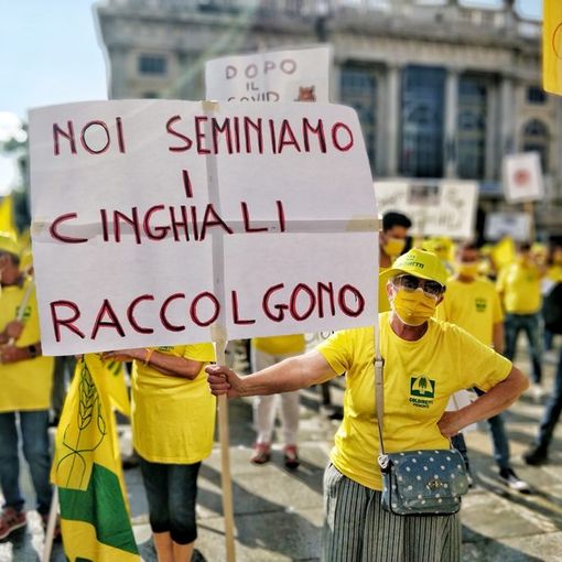 “Per fermare i cinghiali serve piano di contenimento con cacciatori, polizia provinciale e guardie venatorie”