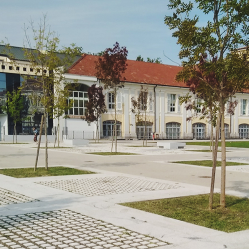 Orientamento, online tutta l'offerta formativa dell'Università del Piemonte Orientale
