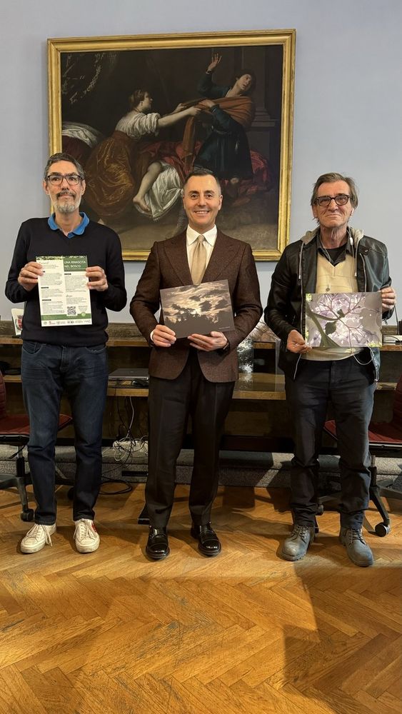 "Una Rinascita nel Bosco": al Museo Faraggiana Ferrandi la mostra di Luca Tresoldi "Una Rinascita nel Bosco": al Museo Faraggiana Ferrandi la mostra di Luca Tresoldi