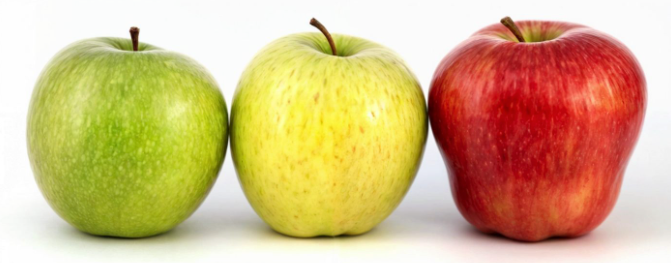 Il Fai Ovest Ticino organizza una visita all'Agriturismo Al Pum Rus di Sozzago