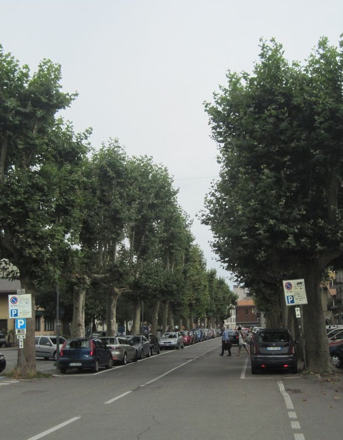 Ordinanze per eventi e sicurezza nel centro storico di Borgomanero