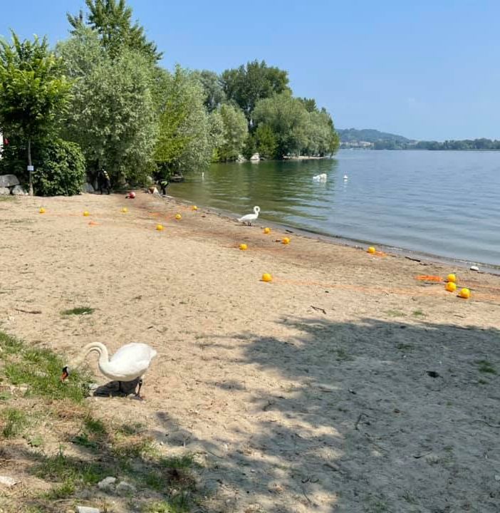Domani apre la spiaggia del Sorriso di Arona