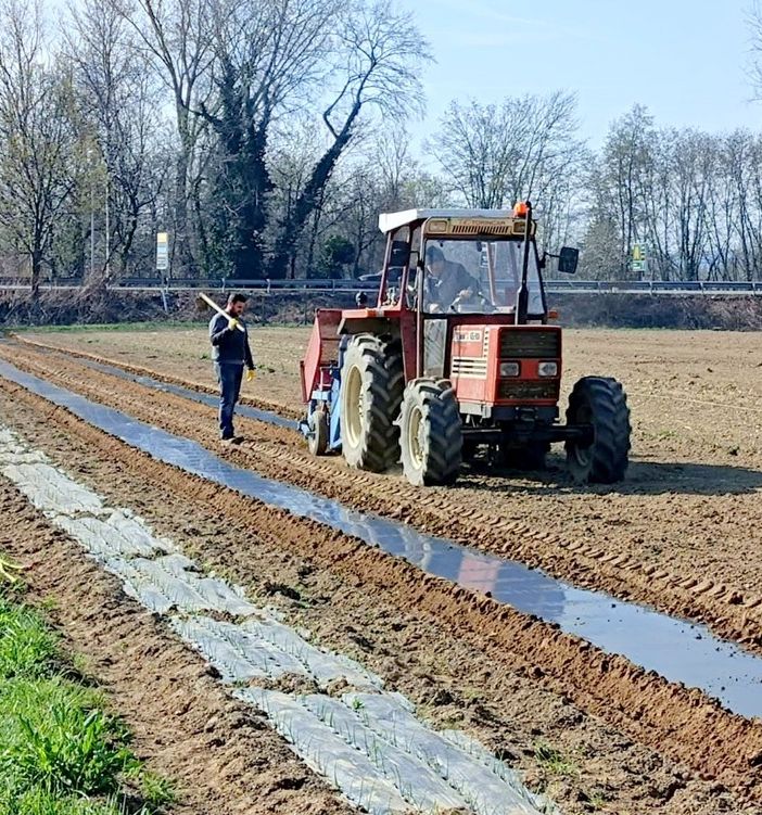 Siccità in agricoltura. A Borgomanero ricerca di soluzioni con la collaborazione tra Coldiretti, Novamont e Legambiente
