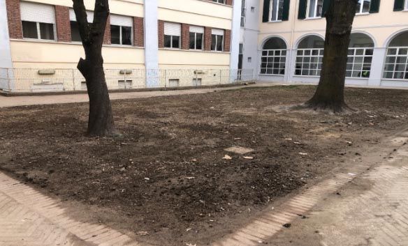 Un nuovo giardino per l'apprendimento e il divertimento: riqualificazione del cortile della scuola elementare di via Manzoni a Cameri