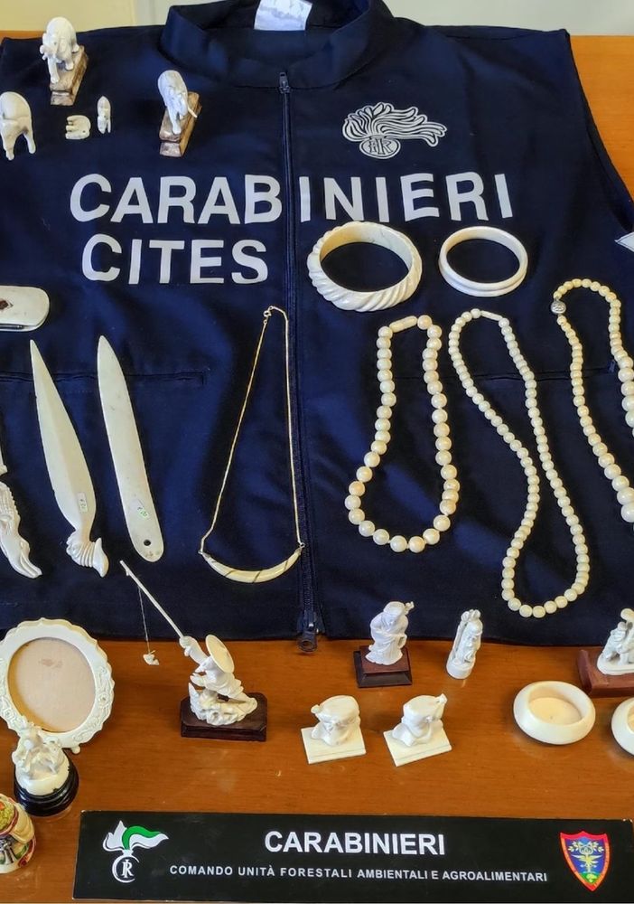 Borgomanero: i carabinieri sequestrano 29 oggetti in avorio, quattro denunce