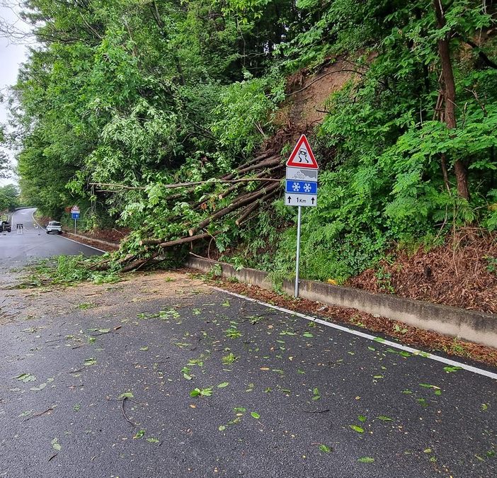 Traffico interrotto sulla SP 87 a Orta San Giulio a causa di una frana