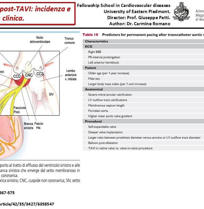 Meeting di Cardiologia all'Upo: focus sulla gestione dei disturbi della conduzione post-Tavi