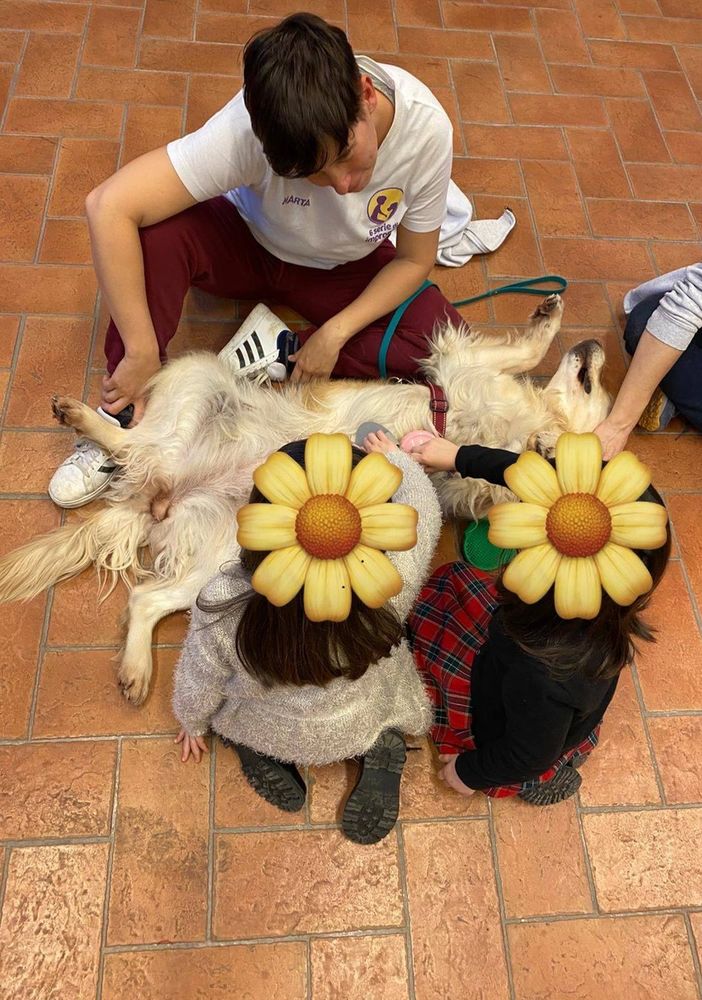 Al via il progetto Pet Therapy a Novara: sold out al primo incontro