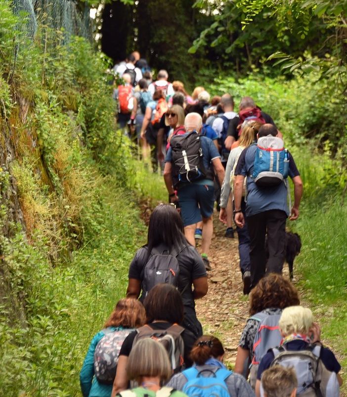 Girolago: Un'escursione autunnale tra natura, cultura e tradizioni