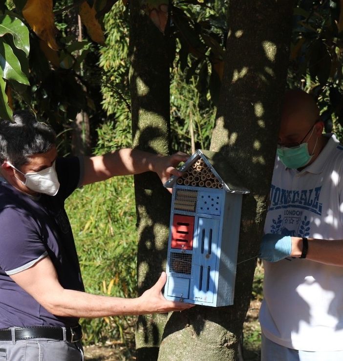 l Bioparco Roggia Moretta intallati 3 Bee Hotel