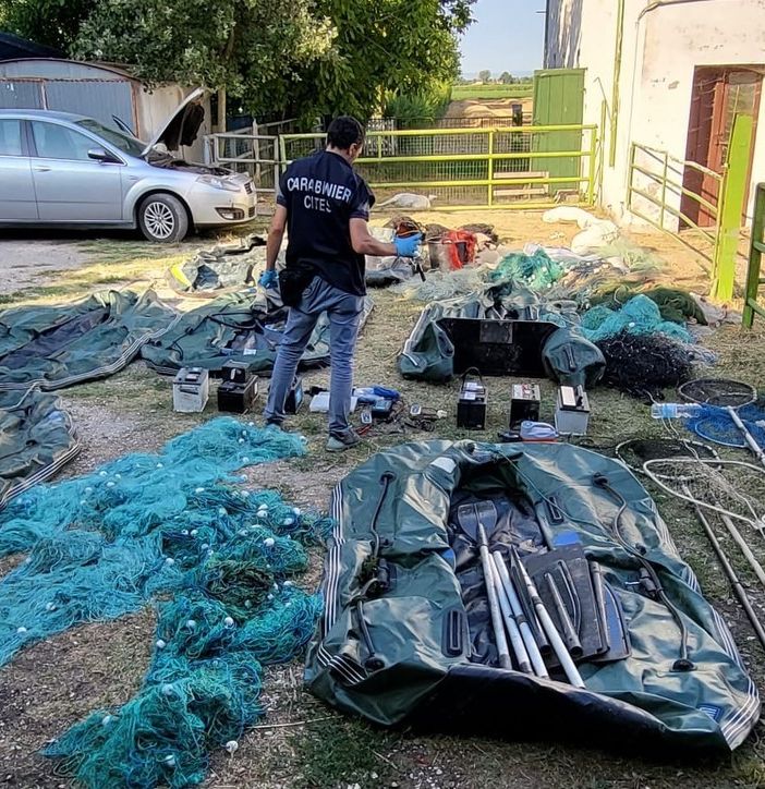 Razzia di pesci catturati con l’elettricità: blitz dei forestali in 3 regioni