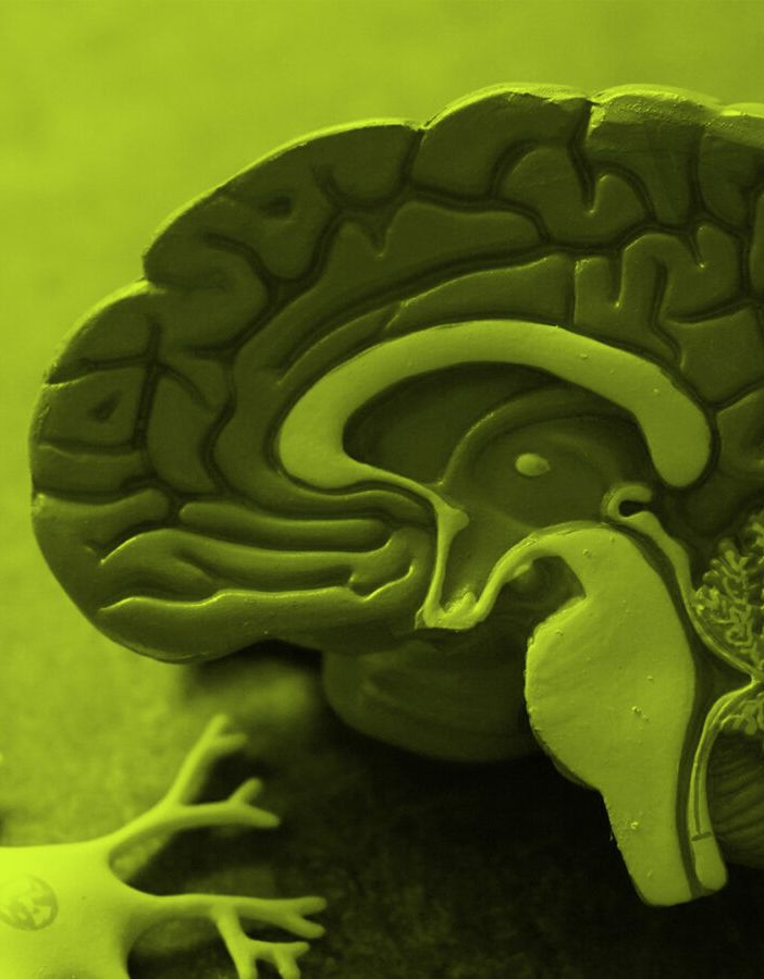 Cervello e dintorni: Alla scoperta dei segreti per una mente sana