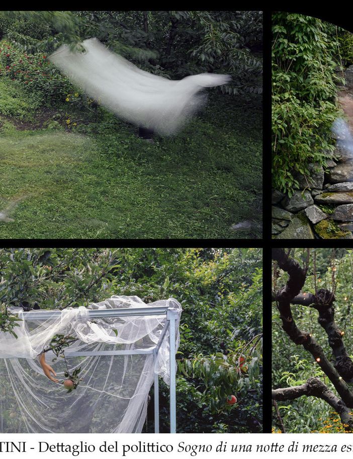 Si inaugura sabato 12 a Verbania ‘Giardini Disobbedienti’, la mostra fotografica di ‘Editoria e Giardini’ 2020