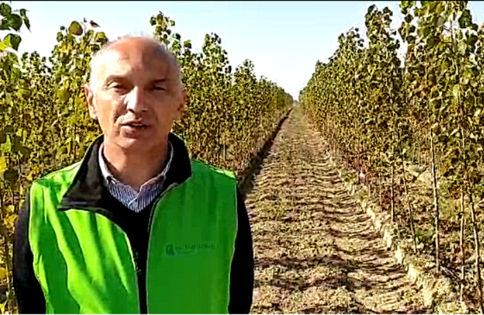 In arrivo fondi per le imprenditrici agricole, Confagricoltura: “Opportunità per il Piemonte&quot;