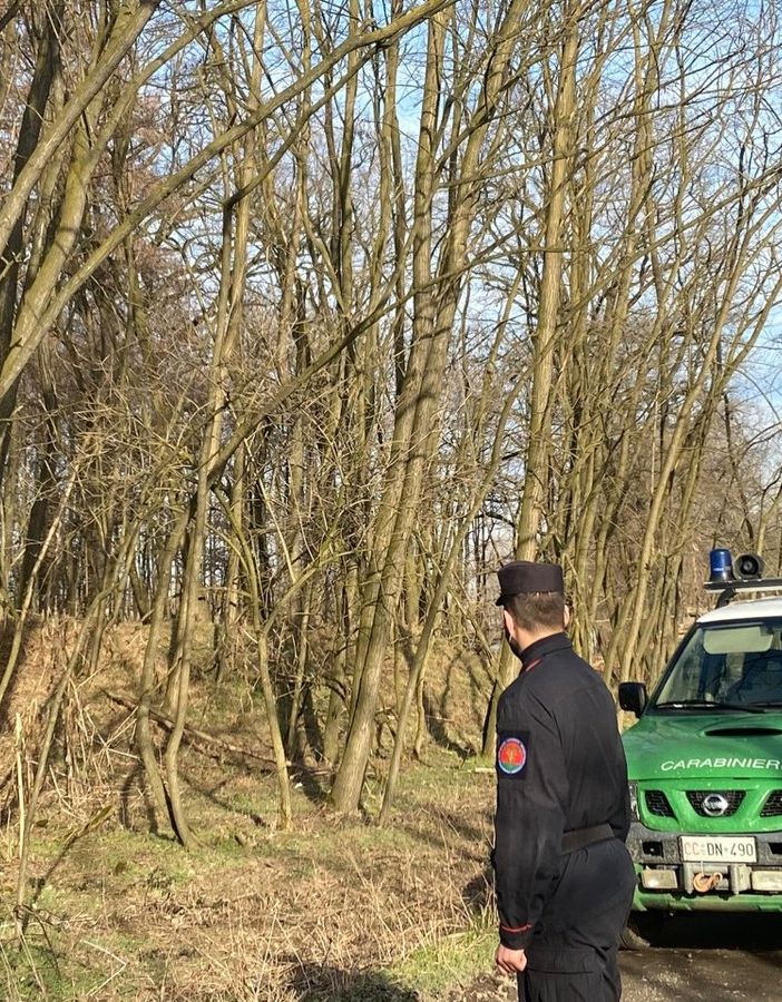 Trappola illegale per i lupi, multato allevatore nel novarese