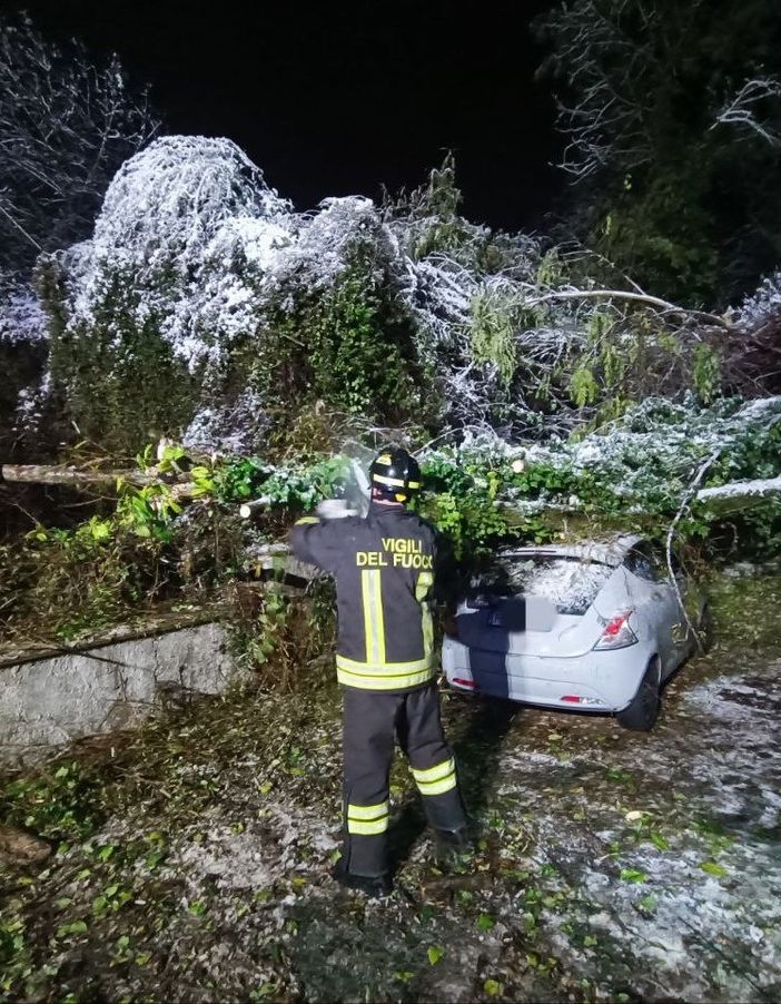 Maltempo sulla provincia di Novara: vigili del Fuoco intervengono per alberi caduti