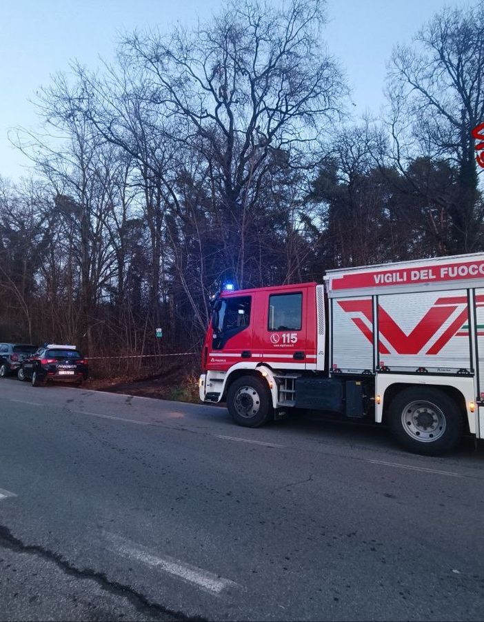 Uomo muore travolto da un albero a Castelletto Ticino