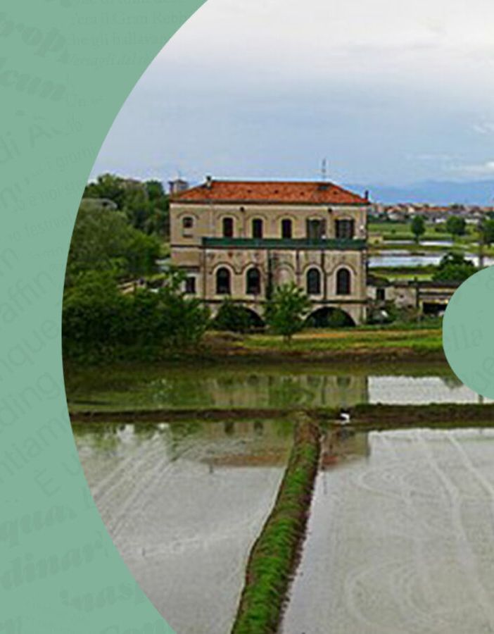 Il paesaggio del riso: Tradizione e sapori dell'Alto Piemonte