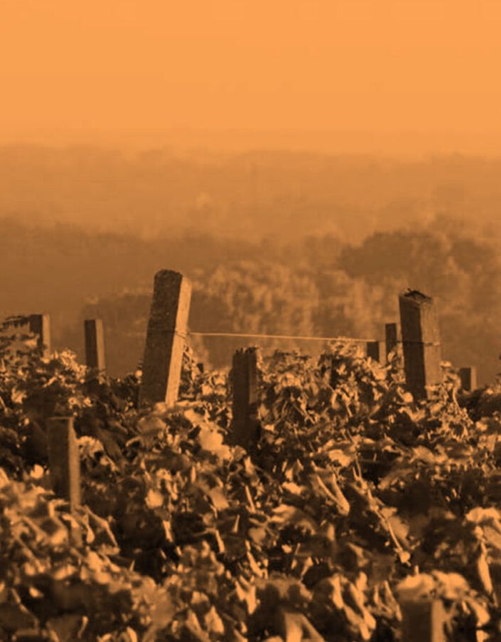 Il territorio del vino: un viaggio nell’Alto Piemonte