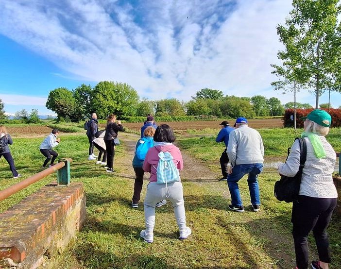 Fit4Walking: passi per la salute