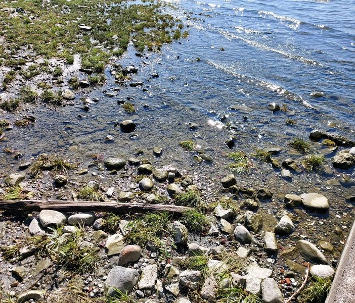 Sempre più preoccupante la crisi idrica del Lago Maggiore: raggiunto il livello di &quot;siccità severa&quot;
