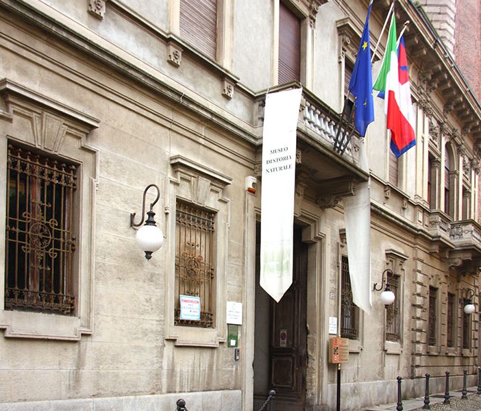 Visita al Museo Faraggiana, giochi e salita alla Cupola per bambini e famiglie