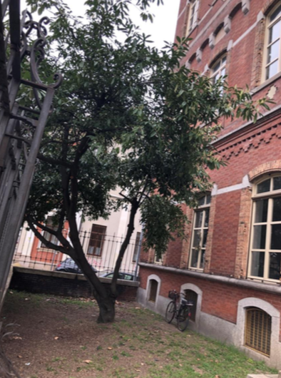 La Provincia auspica l’ingresso dell’Iti Omar alla Fondazione Its