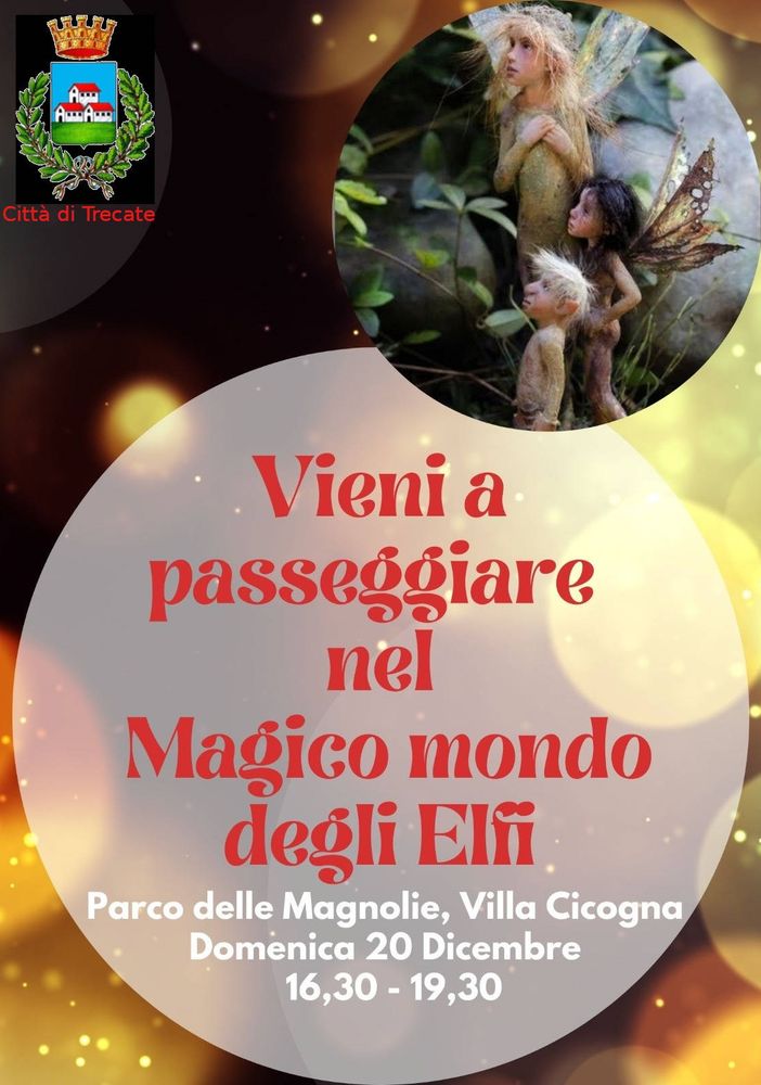 Domenica a Trecate si potrà passeggiare nel magico mondo degli Elfi